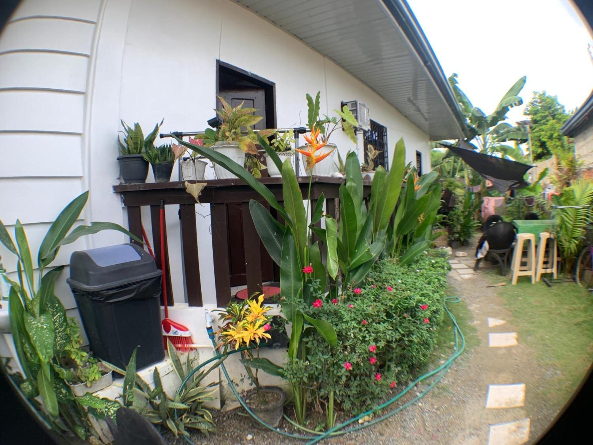 JML Homestay General Luna  Luaran gambar