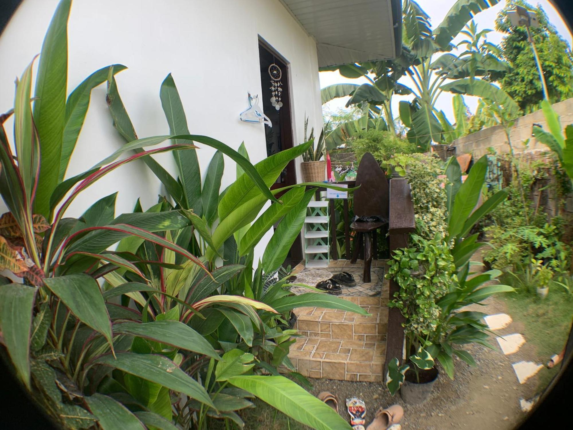 JML Homestay General Luna  Luaran gambar